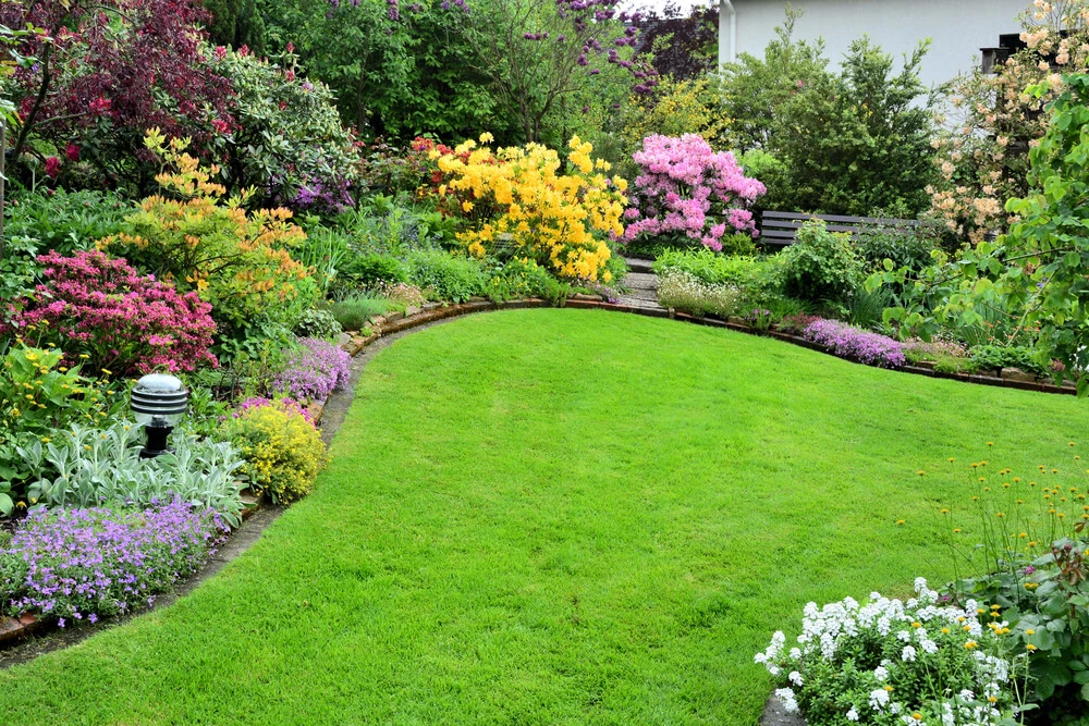 Landscape Design