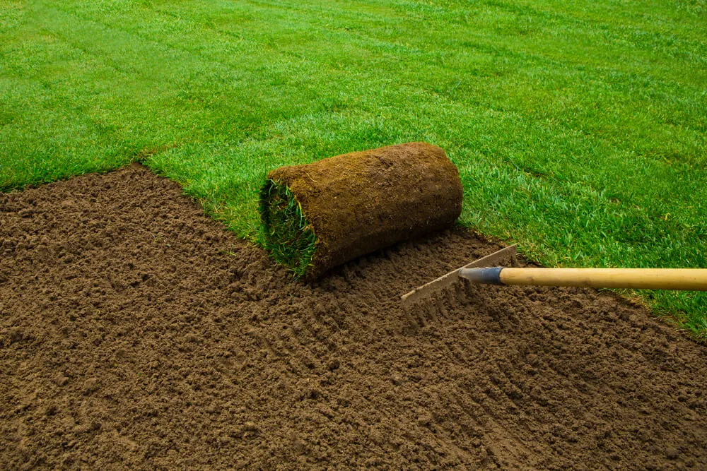 Sod & Seed